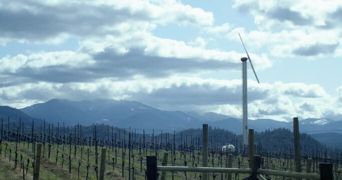 A vineyard in Applegate Valley Oregon in spring with mountains visible in the background on a cloudy day