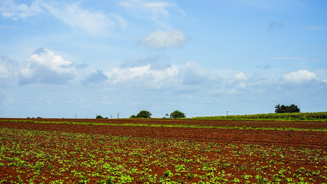 Expansive View Of A Red Soil Field Beneath Blue Sky And Wispy Clouds