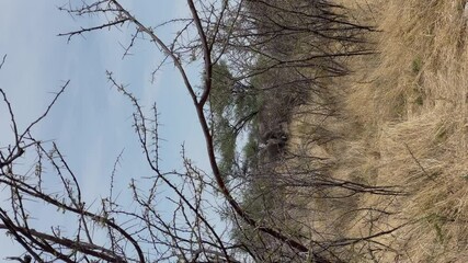 Family of Elephants antelope in the wild. Safari in Africa, African wildlife. - Powered by Adobe