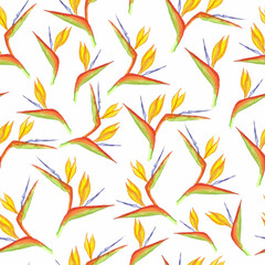 Seamless watercolor strelitzia flower pattern. Strelitzia, bird of paradise, or crane lily. Design for textile, wallpapers, greeting cards, decoration.