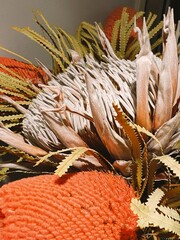 Created with RNI Films app. Preset 'Agfa Optima 200 Warm'