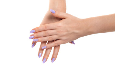 Fototapeta premium Female hands with purple lavender gel polish on long nails on a white isolated background. Manicure