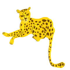 Leopard on an isolated white background. Leopard in cartoon technique.