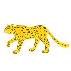 Leopard on an isolated white background. Leopard in cartoon technique.