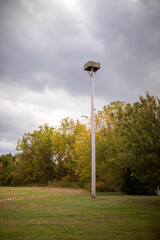 osprey nesting box at Jefferson patterson park and museum in calvert county southern maryland USA in early autumn 
