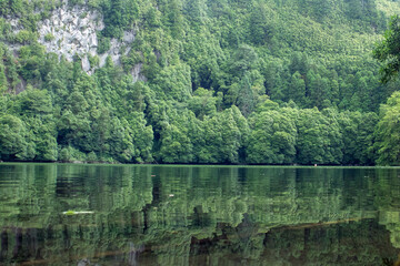 Fototapeta premium lake and forest