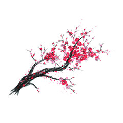 Realistic sakura blossom - Japanese cherry tree isolated on white background. Artistic branch sakura blossom. Vector