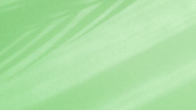 Light palm leaves shadow moving on green background. Summer natural concept. 4K UHD