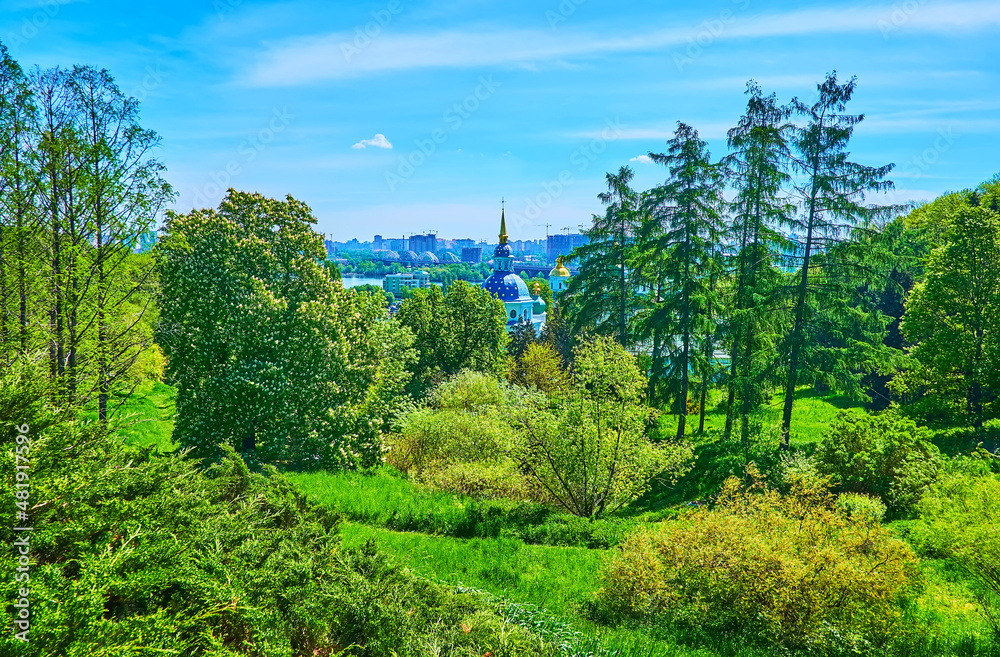 Canvas Prints The gentle hill slope with plants of Kyiv Botanical Garden, Ukraine