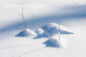 Small twigs are covered with snow.