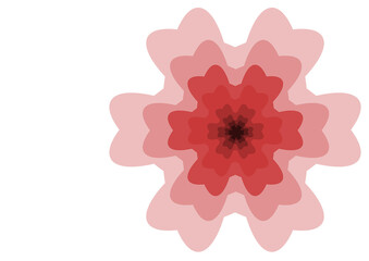 Floral texture on a white background