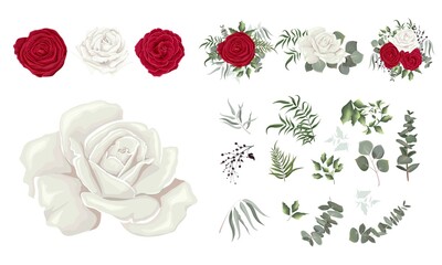 Vector set of white and red roses and plants. Compositions of plants. Plants and flowers isolated on a white background. Elements for floral design.