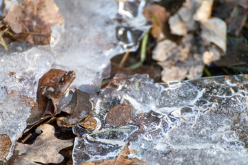 White melting clear ice crystals close-up sparkling in fallen dry leaves on spring ground. Cold nature background