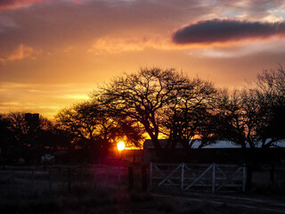 Hermoso atardecer en el campo Argentino. La Pampa Argentina