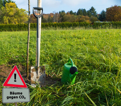 B&auml;ume gegen CO₂