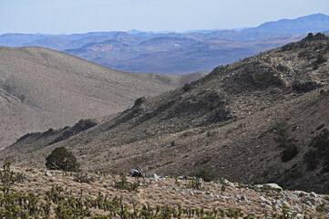 Remote campsite in Eastern Sierra Foothills.