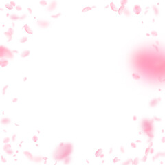 Fototapeta na wymiar Sakura petals falling down. Romantic pink flowers vignette. Flying petals on white square background. Love, romance concept. Immaculate wedding invitation.