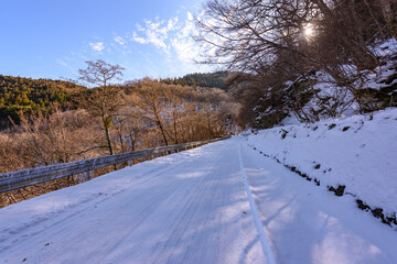 Fototapeta na wymiar 四国徳島の冬の真っ白な雪道