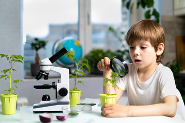 Little boy studies under the microscope plants, enthusiastically looks