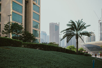 Daytime skyline of modern skyscrapers buildings property with park area and trees