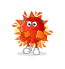 raspberry boxer character. cartoon mascot vector