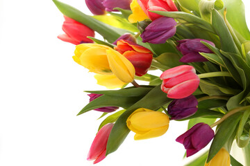 Spring flowers. Tulips. Postcard for March 8th, mother's day or birthday