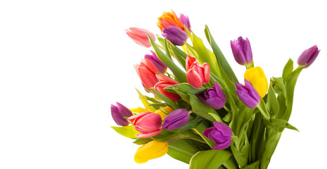 Spring flowers. Tulips. Postcard for March 8th, mother's day or birthday