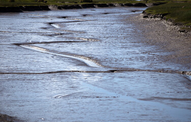 The Tamar Wetlands, Morning, Tasmania.