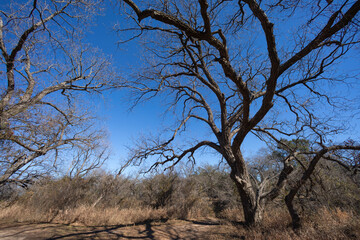 Brownwood Texas, Riverside park, walking trial during winter season.