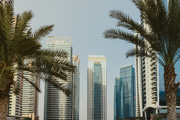 Daytime modern city view with skyscrapers business towers and residential buildings with blue sky and palm trees