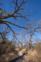 Obraz premium Brownwood Texas, Riverside park, walking trial during winter season.