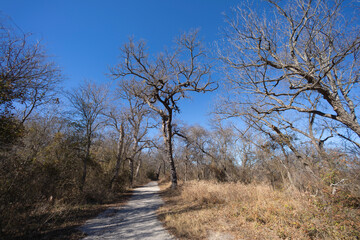 Brownwood Texas, Riverside park, walking trial during winter season.