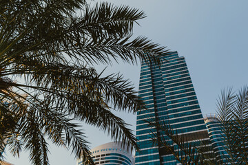 Fototapeta na wymiar Daytime modern skyscraper business tower and residential building with blue sky and palm tree