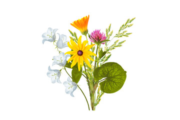 Floral background. Wildflowers isolated on a white background. Bouquet of flowers.
