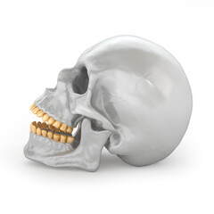 Skull profile with golden teeth. Art concept. 3D rendering.