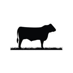 angus cattle livestock cow beef and grass silhouette countryside farm logo design - obrazy, fototapety, plakaty