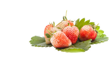 strawberries on a white background
