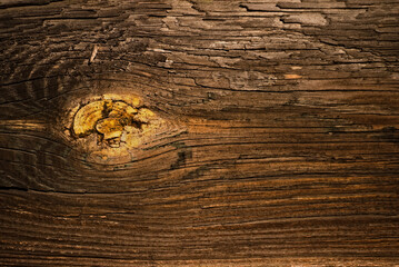 Stara belka , zniszczone stare drewno . Old beam, damaged old wood.  - obrazy, fototapety, plakaty
