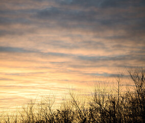 sunrise over the field