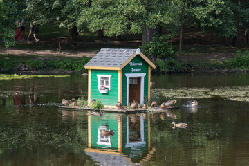 Obraz premium Wooden bird house at the city park pond in summer time, Zelenogradsk, Russia.