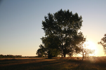 sunset in the morning