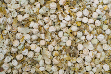 Texture of dried peas and their husks closeup.