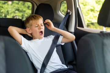 Little blond kid boy in the car