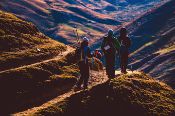 Adventure seekers hiking in the mountains with their trekking polls