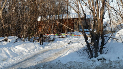 trees jn winter Yekaterinburg Russia