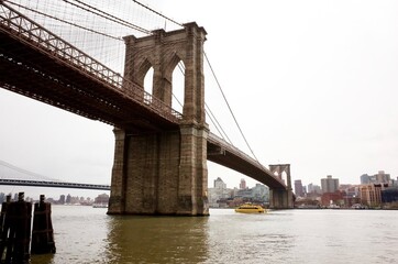 Obraz premium On The Street Corner (New York, USA) - April 2018