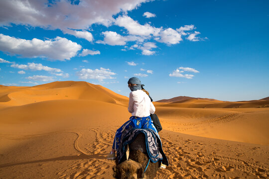 Young girl wearing headscarf and sunglasses riding a dromedary through the erg chebbi Sahara desert in Morocco. High quality photo