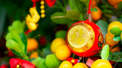 Various shapes, Chinese New Year, traditional ornaments