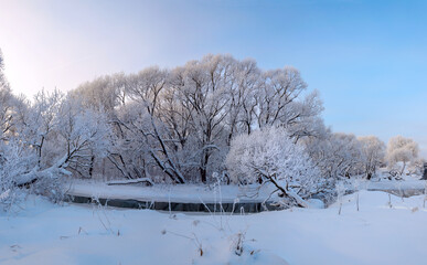 Winter frosty landscape with snow covered trees
