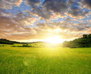 sunset over green field